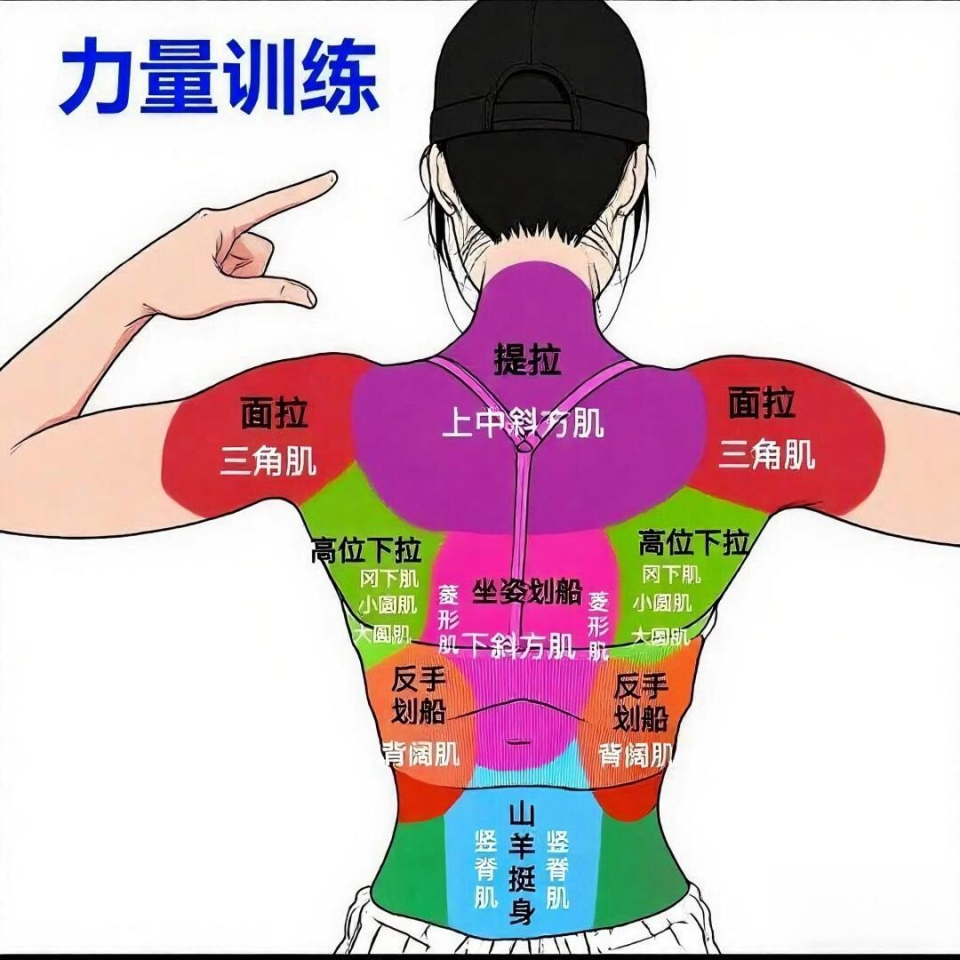 et不同动, 记录进步, 绳索下压