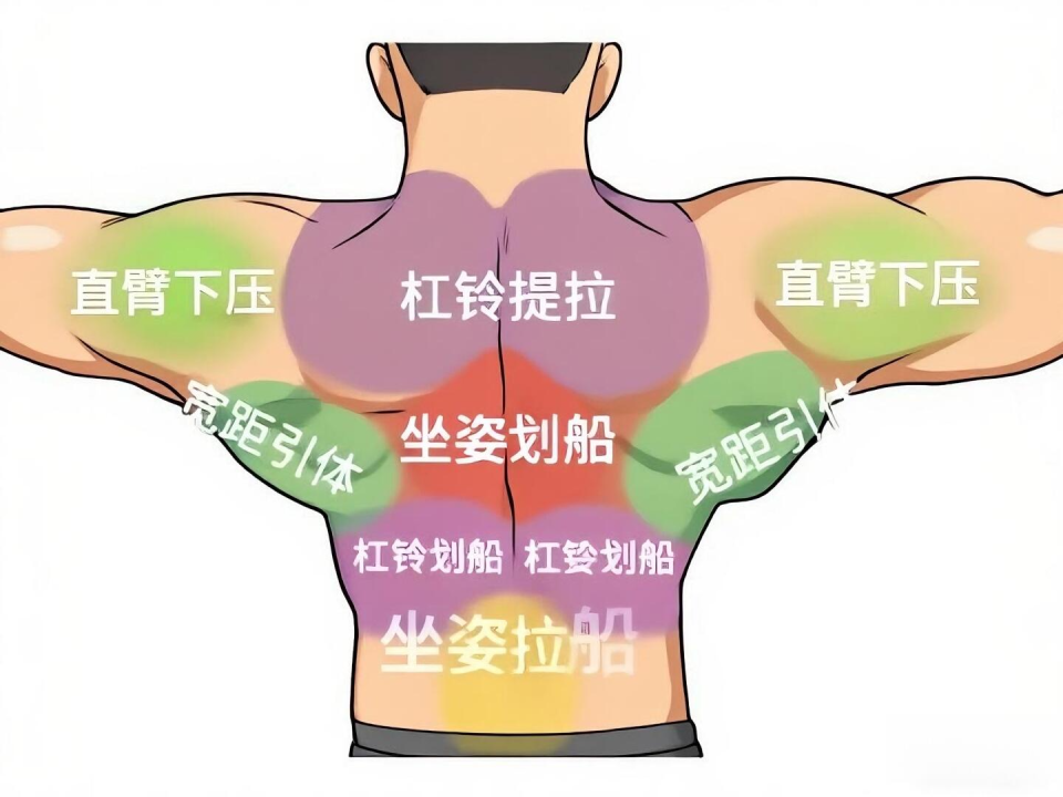 面拉, whpIi, 帮你清晰g